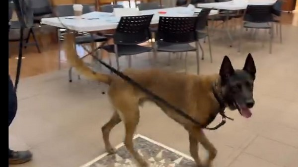 All-clear given after threat at Prairie View A&M disrupted classes, impacted nearby school