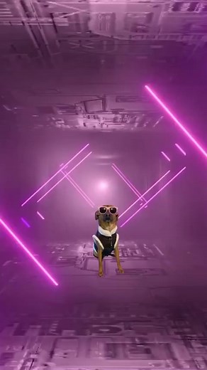 3.1K views · 92 reactions | Puppy Song 150: Tootie - a collab with Tootie Dog   #dogs #puppysongs #ilovedogs #dogsongs #themesong | Puppy Songs | Facebook