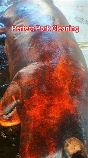 Perfect Pork (Pig) Cleaning Skills & Processing 10 #pork #food #shorts #pig #porky #porkmeat #best