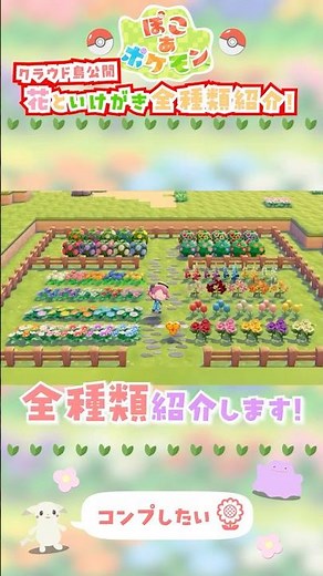 【誰でもコンプできる!!】花といけがき全60種類紹介＆入手方法解説！【ぽこあポケモン】#shorts #ぽこあポケモン #ぽこあ #pokemonpokopia #必見 #攻略