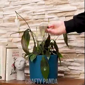 Amazing DIY Crafts For Your Garden! | Crafty Panda