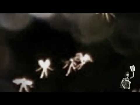 University lecturer John Hyatt claims to have photographed real-life tiny fairies flying