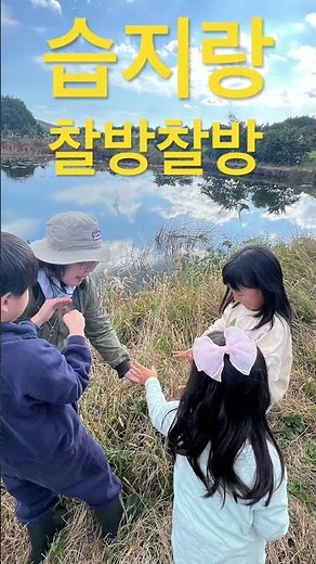 #갯것이영화제 #습지랑찰방찰방 #오은주 #오은주생태해설사 #제주 #습지 #수산한못 #사려물 #울산저널 #행복산행