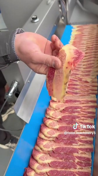 Food Chopping Machine Manufacturer: Innovative Solutions