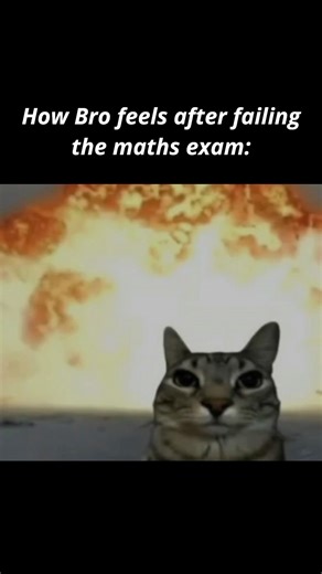 Trending Memes 2026🔥 | Cat Memes😻 #funny #comedy