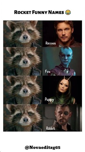 Marvel Heroes Call Rocket by Funny Names 😂– First Time Reaction