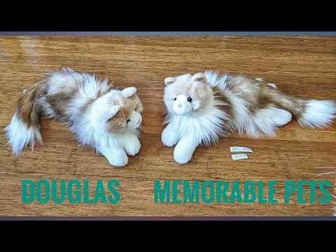 Douglas Kiki Ragdoll Cat Plush Stuffed Animal review
