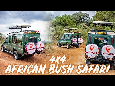 4 × 4 SAFARI OPEN ROOF LANDCRUISERS IN KENYA BY MUFASA TOURS AND TRAVELS KENYA