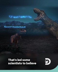 Imagine having the bones of a T-rex sitting right in your backyard! That's gotta be worth a fortune - or at least that's what Clayton is hoping. Then again, it could also be the elusive Nanotyrannus - supposedly a cousin of the T-rex that might have been one-third its size... if it existed at all. What do you think? | Discovery Channel Southeast Asia