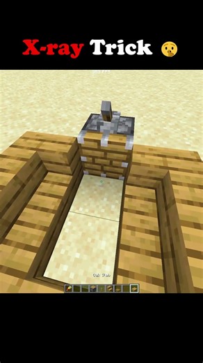 X-Ray Glich 🤫 #minecraft