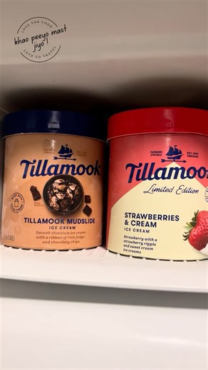 Midnight Cravings HIT HARD! 🍨 Tillamook Mudslide Ice Cream ASMR Mukbang (So Creamy!)