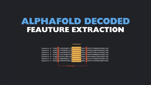 【AI】04-AlphaFold从零实现系列 - Feature Extraction