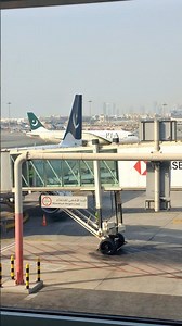 Dubai Airport PIA #aviation #aircraft #travel
