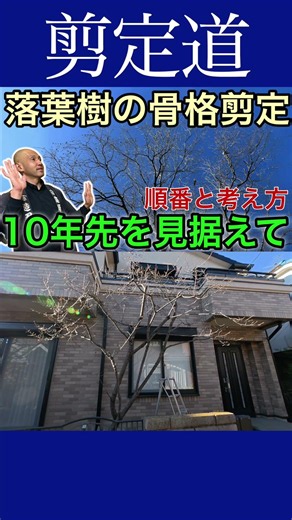 落葉樹骨格剪定 順番と考え方 １０年先を見据え桜を剪定しました #剪定方法 #農業 #庭作業 #桜 #落葉樹 #骨格剪定