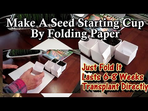 How to Make Seed Starting Cups by Folding a Sheet of Paper: All the Steps Explained!