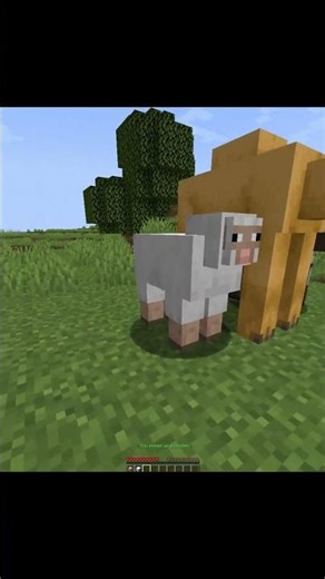 minecraft cool mods ☠️ part 192