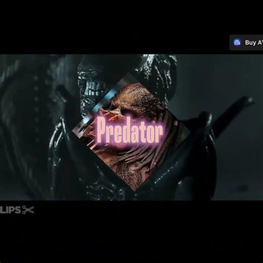 Alien vs predator edit
