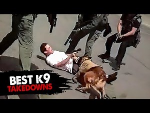 K9s vs Criminals: The Ultimate Takedown Compilation