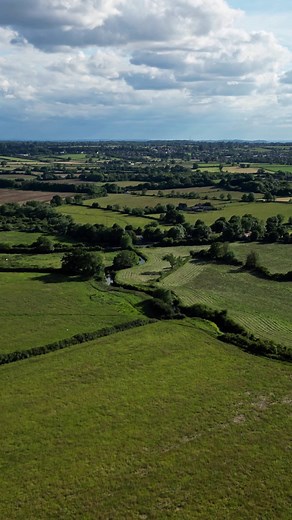 Field, Grass, Trees. Free Stock Video