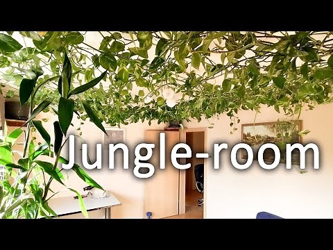 How-to jungle-ceiling