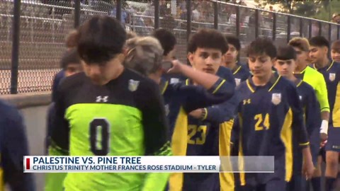 Pine Tree boys soccer beats Palestine 2-1