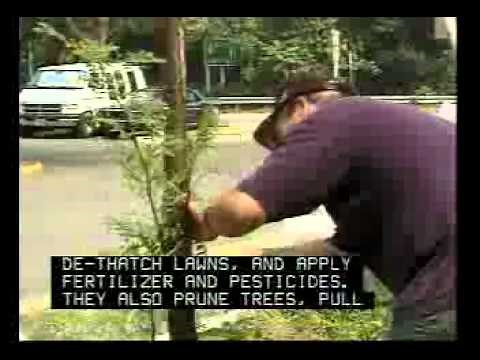 Landscaper Job Description