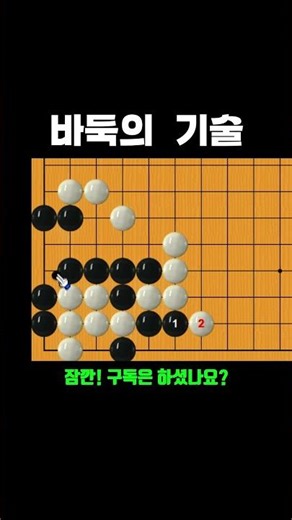 바둑의 기술 보여드립니다