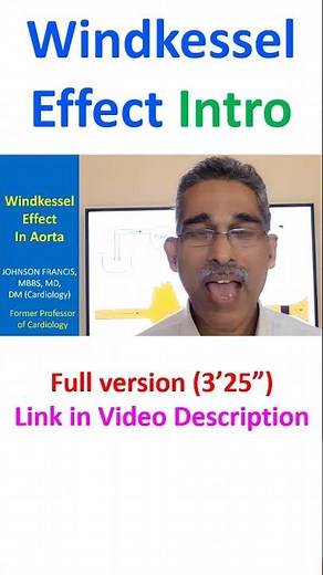 Windkessel Effect In Aorta With Experimental Evidence!