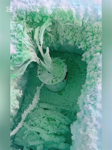 💋Craving_ice🥶🧊 (@craving_ice)’s videos with original sound - 💋Craving_ice🥶🧊