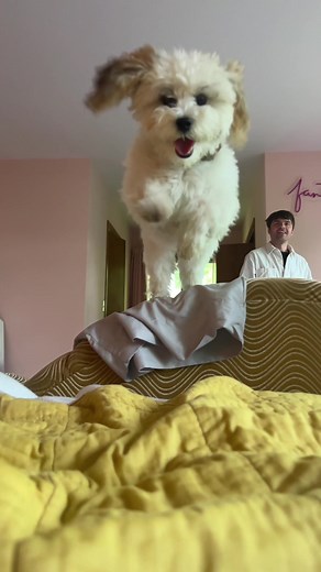 Rise and Shine with the Best Alarm Clock