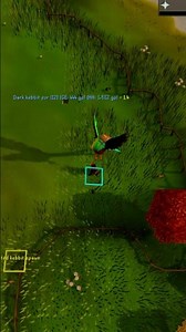 OSRS Hunter Rumours Are INSANE XP! 🦊 Dark Kebbit Run