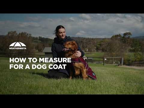 How to Measure Your Dog for a Coat | US Dog Coat Sizing Guide