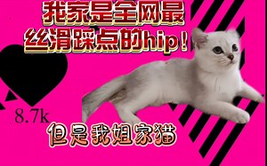 hip meme/挑战全网最丝滑踩点hip！不服来战！别问我是怎么让它配合我拍视频的（）