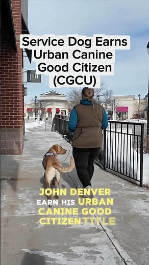 Service Dog Earns Urban Canine Good Citizen Title