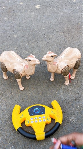 Suto 2 Ta Camel remote control