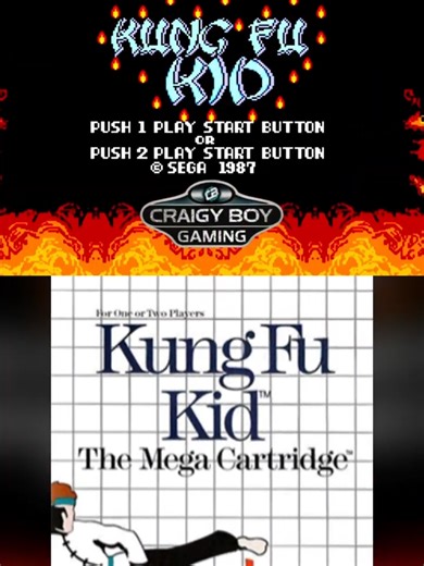 Kung Fu Kid (SEGA Master System) 8-Bit Mayhem #kungfukid #sega #mastersystem #retrogames #retrogamingfun