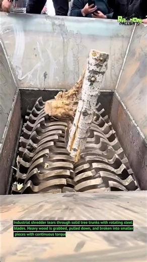 Powerful Industrial Shredder Crushing Large Tree Trunk!