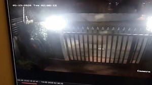 One suspect has been arrested by SCP SECURITY on Thibault Str, Roosevelt Park. At around 02h00 two suspects gained entry to a property on Tomas Baines Str, Roosevelt Park & stole/took a bag containing clothes from a motor vehicle. The resident noticed that the gate has been derailed & activated the alarm, Several Armed Reaction Officers were dispatched & arrived within minutes. The resident informed our Officers that the suspects broke into the vehicle, video footage was reviewed & a area search