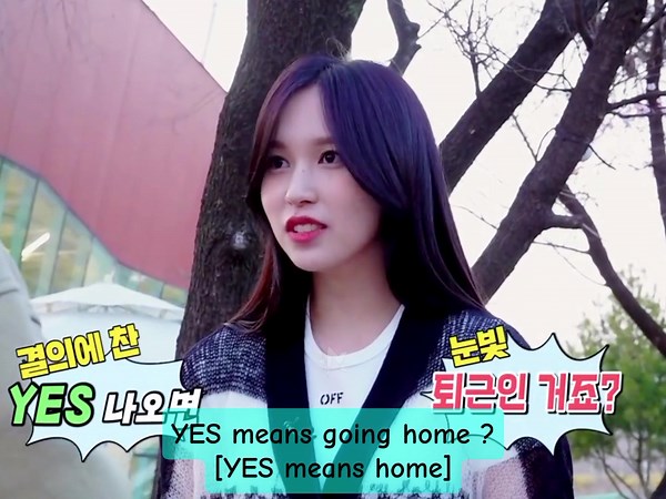 Meet Mina the Penguin | Cute and Adorable 🩵🐧💨