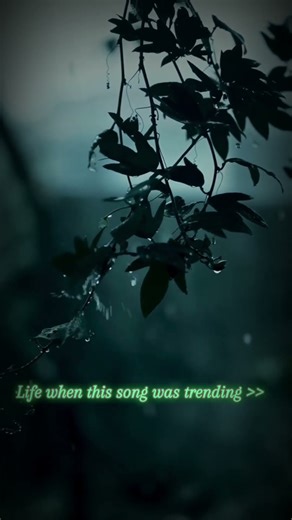 POV: It’s 2025 and the 2021 memes still hit different 🤯✨