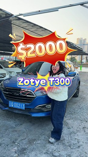 Affordable Zoyte SUV: Spacious and Stylish Option