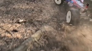 Watch Fast RC car on Amazon Live