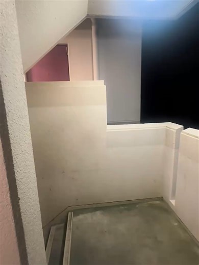 #ビビり #大人モロー反射 #モロー反射愛おしい #モロー #ハッピー #いたずら #ビックリ