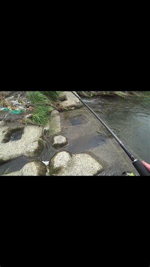 ストップフィッシングから最後の穴釣りでキャッチ🎣