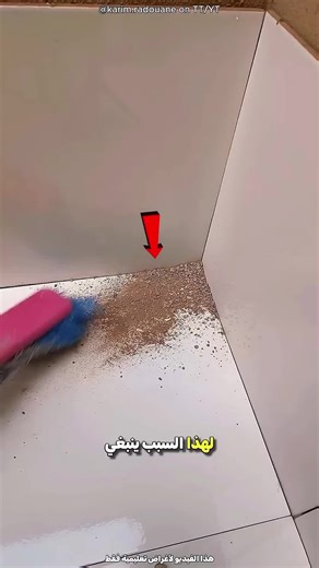 Differences Between Mr. Black and Mr. White