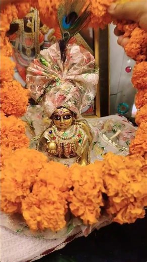 ❣️छोटु छोटु से कृष्ण कन्हैया❣️ #krishna #love #vrindavanmarg #vrindavan #viral #video #cute #2026