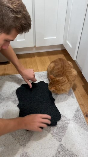 THE MAGIC LOAF MAT 🍞 | Abram Engle