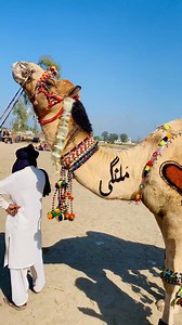 Unpleasant meeting with the camel/This is a funny video to make people laugh/Do watch this video #fypシ゚viralシfypシ゚ #fypシ゚viralシ #fypシ゚viralシfypシ゚viralシalシ #fypageシ #memes #insta #facebook #facebookmemes #facebookmarketing #facebookpage #facebookadvertising #facebookgaming #facebookmarketplace #facebookgroup #facebookmemories #facebookshop #facebookbusiness #facebookpost #facebooklikes #facebooklike #facebookmessenger #facebookmarketingtips #facebookquotes #facebooktips #facebooklivestream #faceb