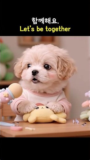 Baby Maltipoo Realizes How Many Toys It Needs 😂