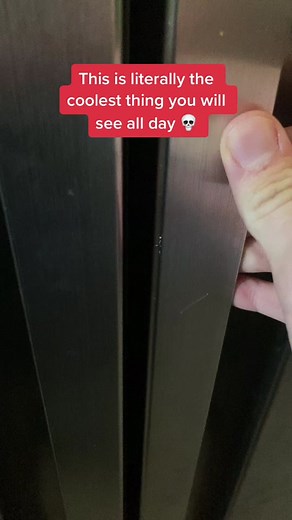 Fun Science Experiment to Try with Your Fridge!